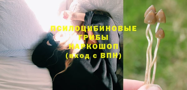 героин Покачи
