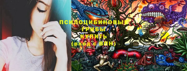 героин Покачи