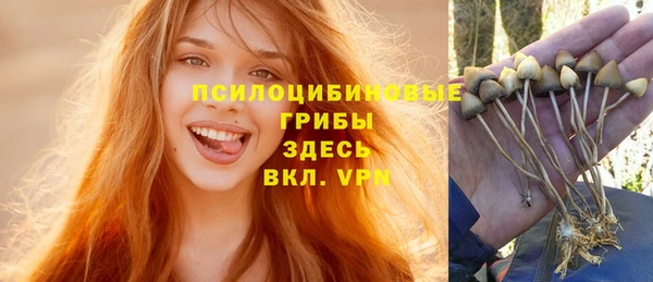 героин Покачи