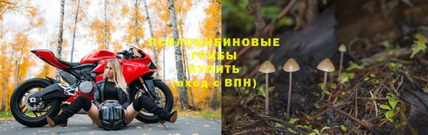 скорость Покровск